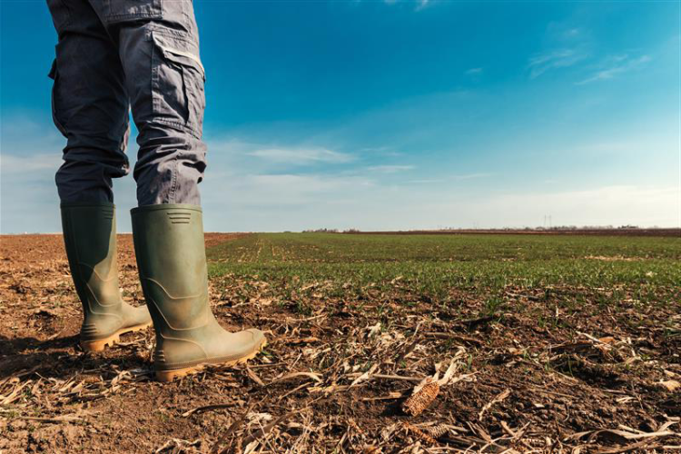 Rural health and social care