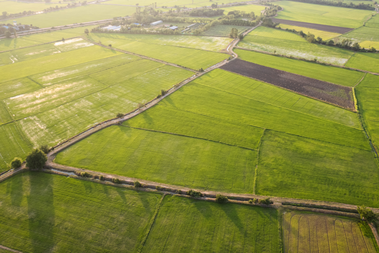 a photo of green fields for miles